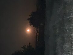 IMG_1375.jpeg