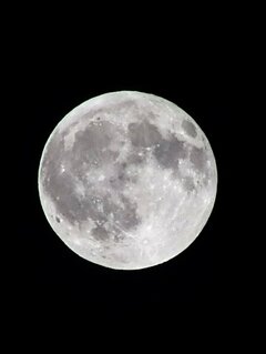 100_0062~2.JPG