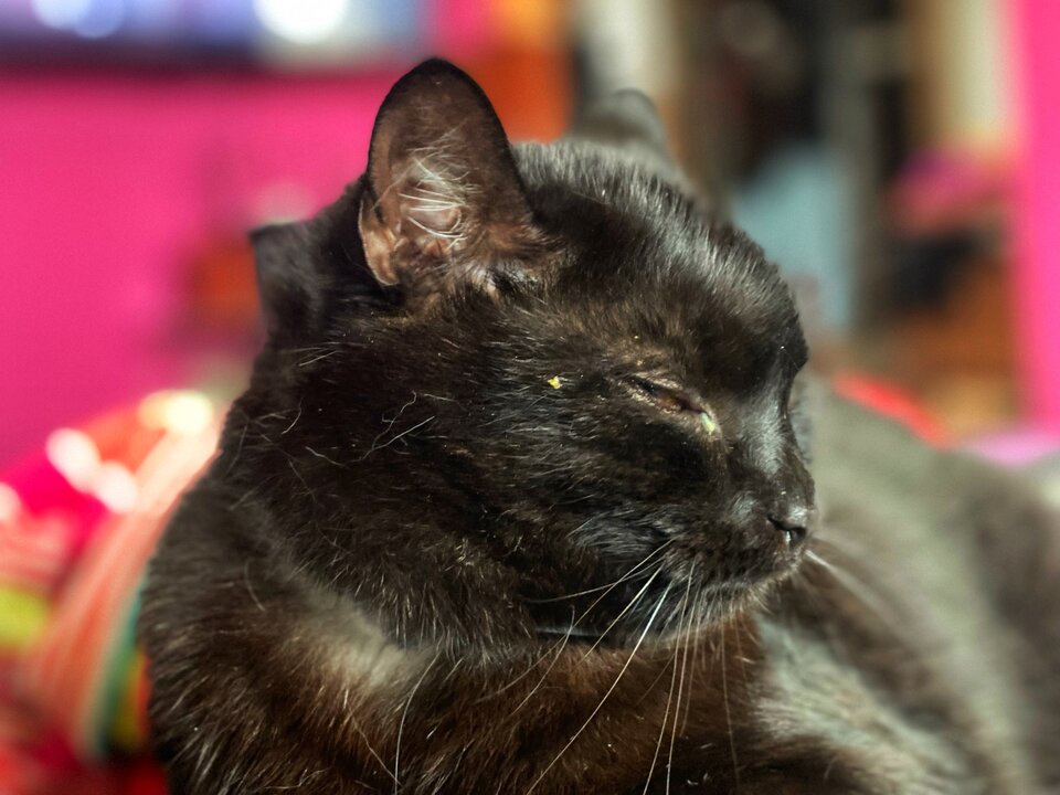 IMG_0602.jpeg - serialowapara19782