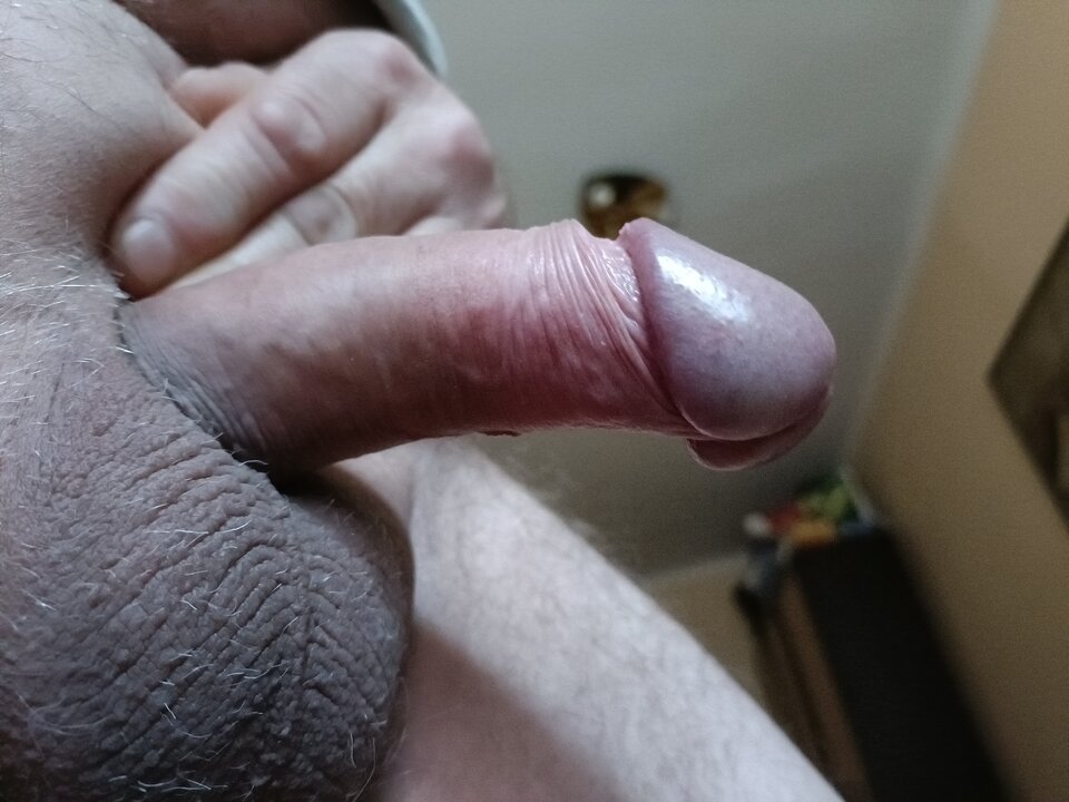 16836051942317997212960235756521.jpg - ardas1