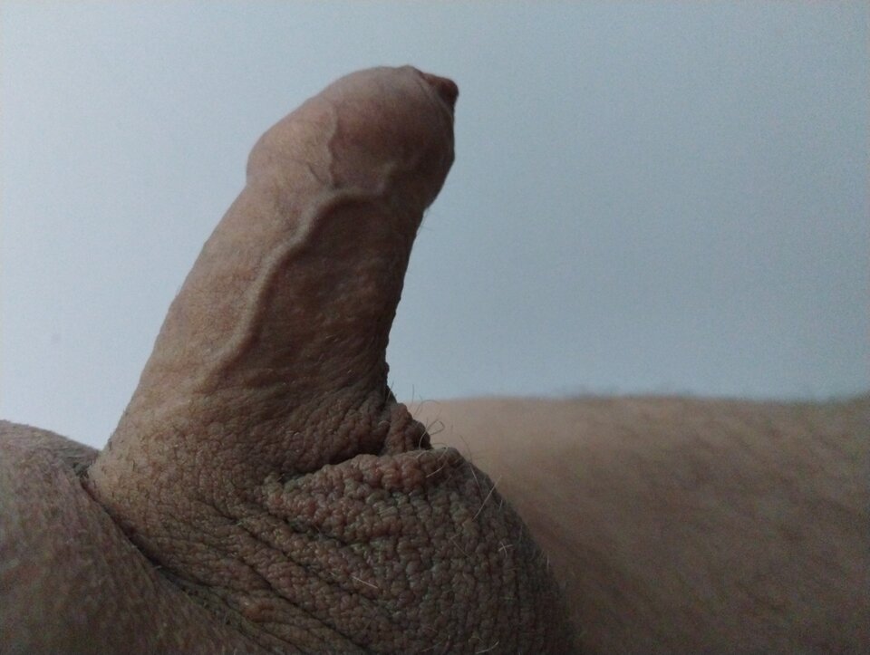 16836139389983169938947483826523.jpg - dupekalex