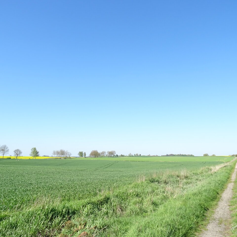 DSC01209.JPG - bojman8