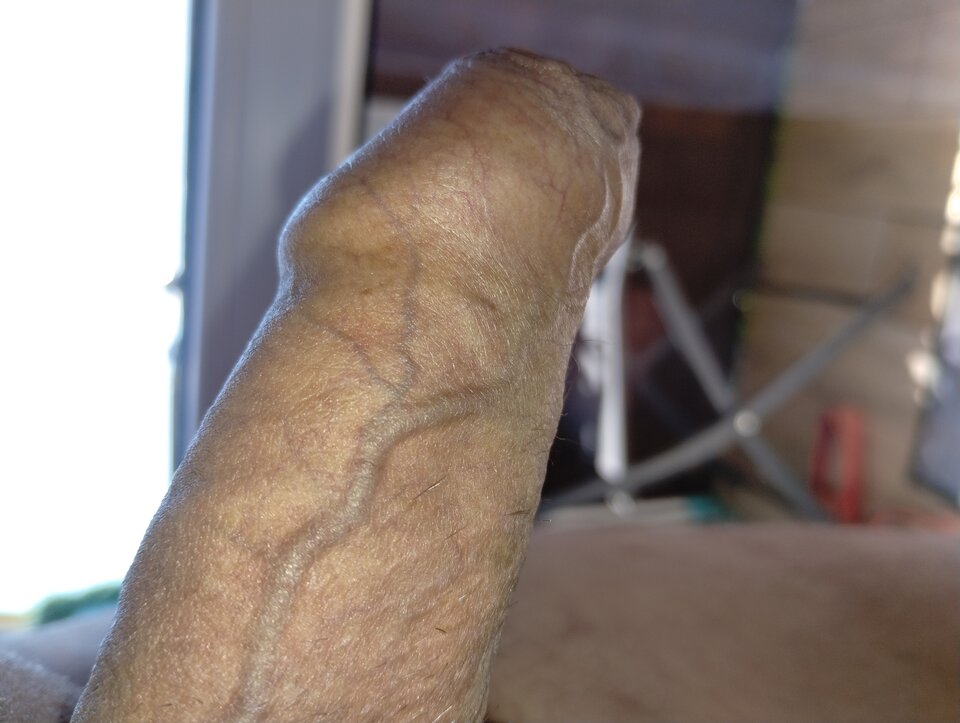 16837122669341659411260988734533.jpg - dupekalex