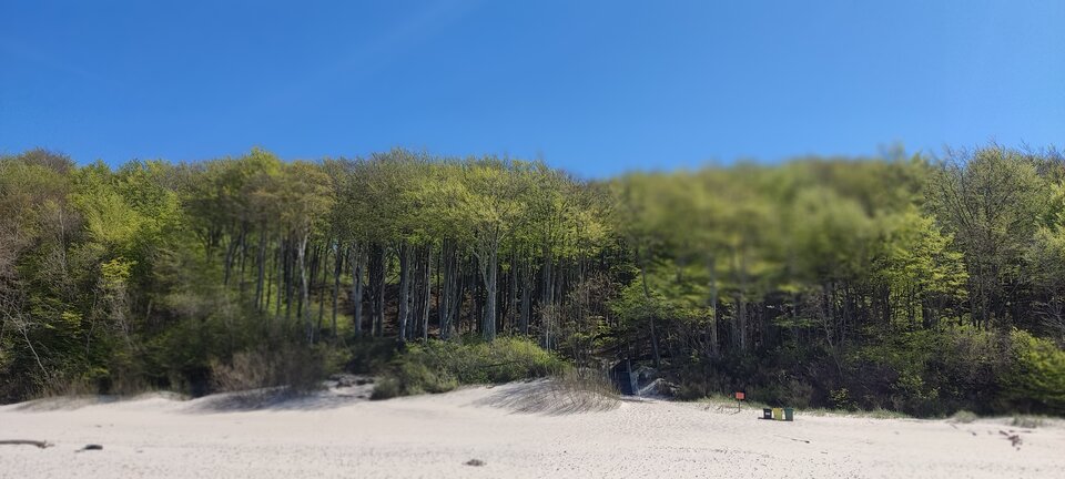 IMG_20230510_131607.jpg - edytkaandrzej