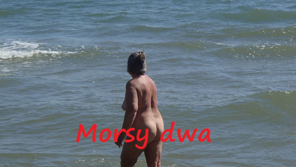 W wodzie. W słoneczku. I na wietrze. - Morsy_dwa