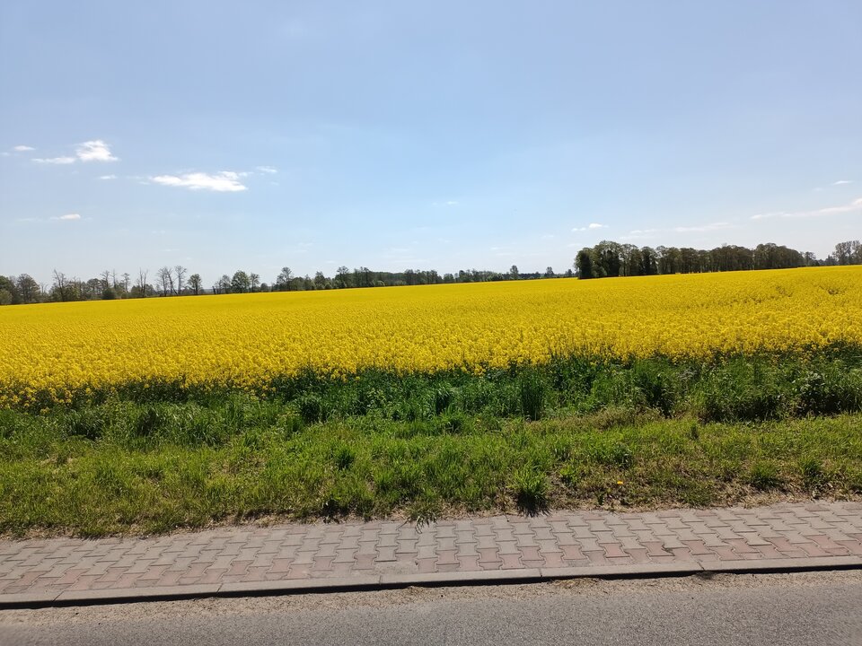 IMG20230510114454.jpg - hypns