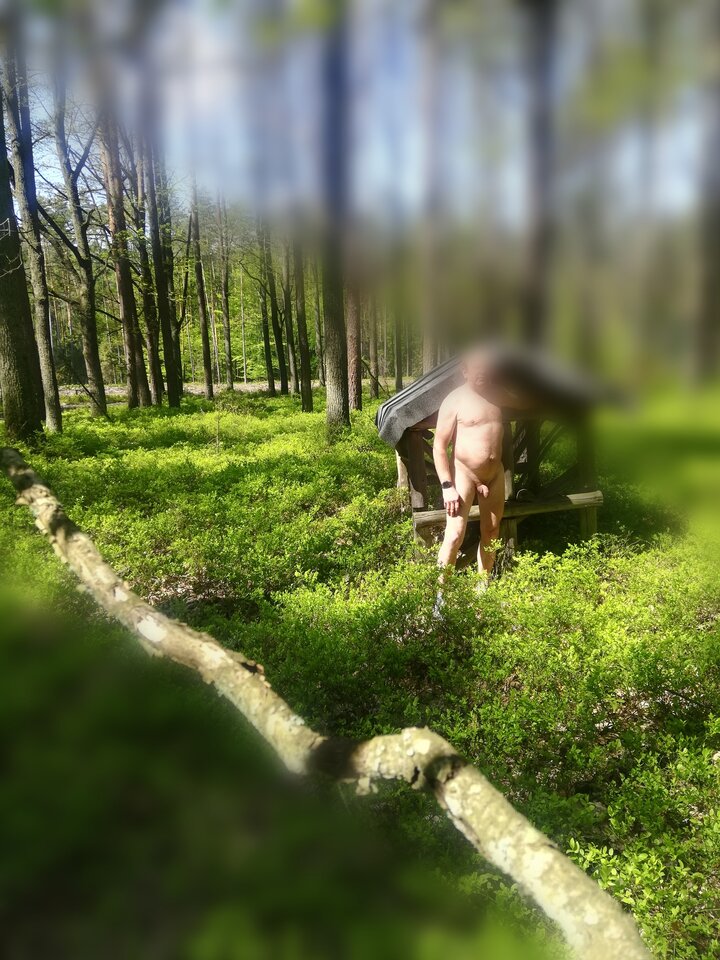 IMG_20230511_114533.jpg - kriszo2003