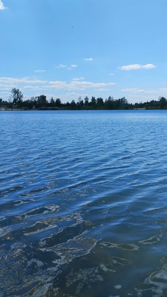 IMG_20230511_125338.jpg - sergiusz75