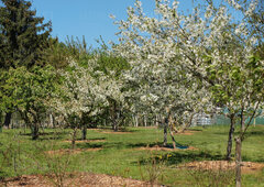 Wiosna na Ranczo Natura