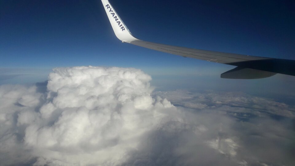 20210602_192351.jpg - naturysta1966