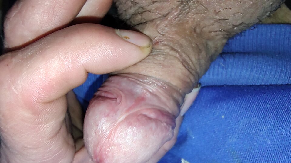 IMG_20230509_183433950.jpg - Fiutkutaschujjaja