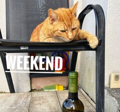 IMG_0710.jpeg