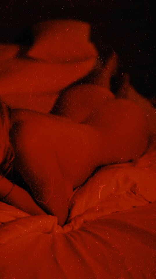 4.jpg - TheVirginSuicides