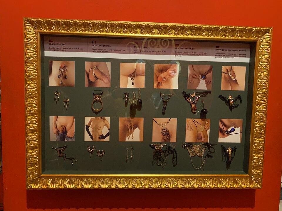 E06197B7-0238-48F2-8C83-760C14BE5049.jpeg - ptakitam