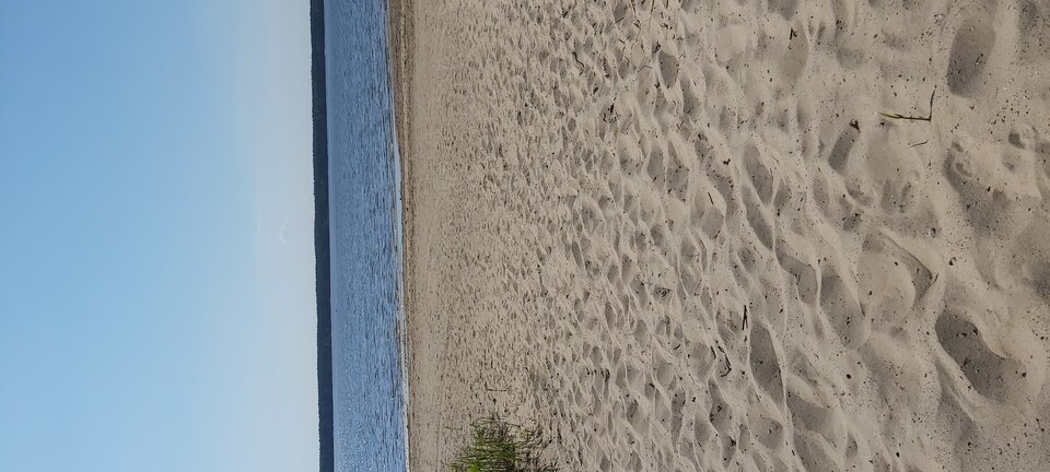 20230513_094401.jpg - chris19771977