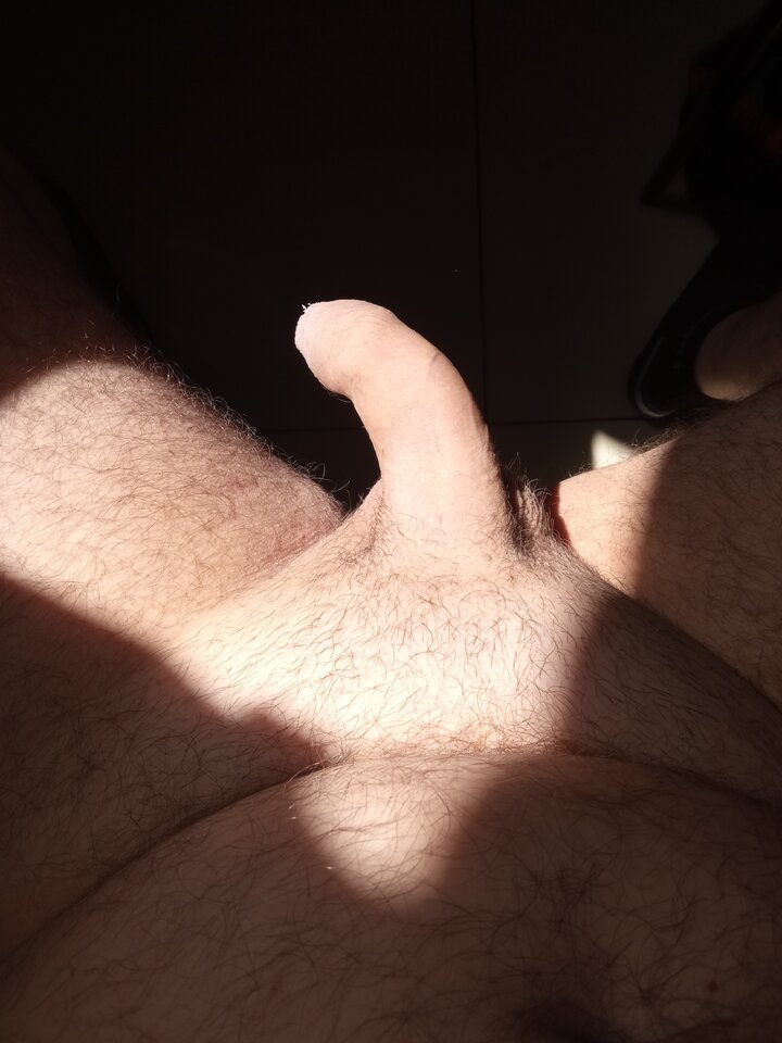 2023-05-1311.22.276244973309448678099.jpg - Provocatus