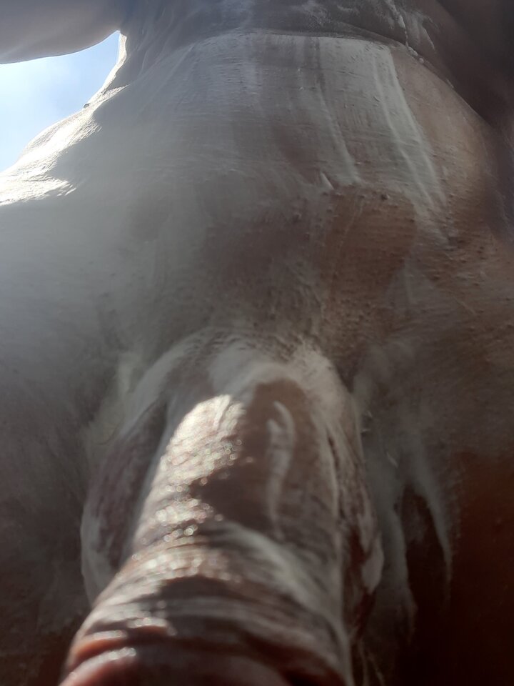 20230513_114159.jpg - Transpola