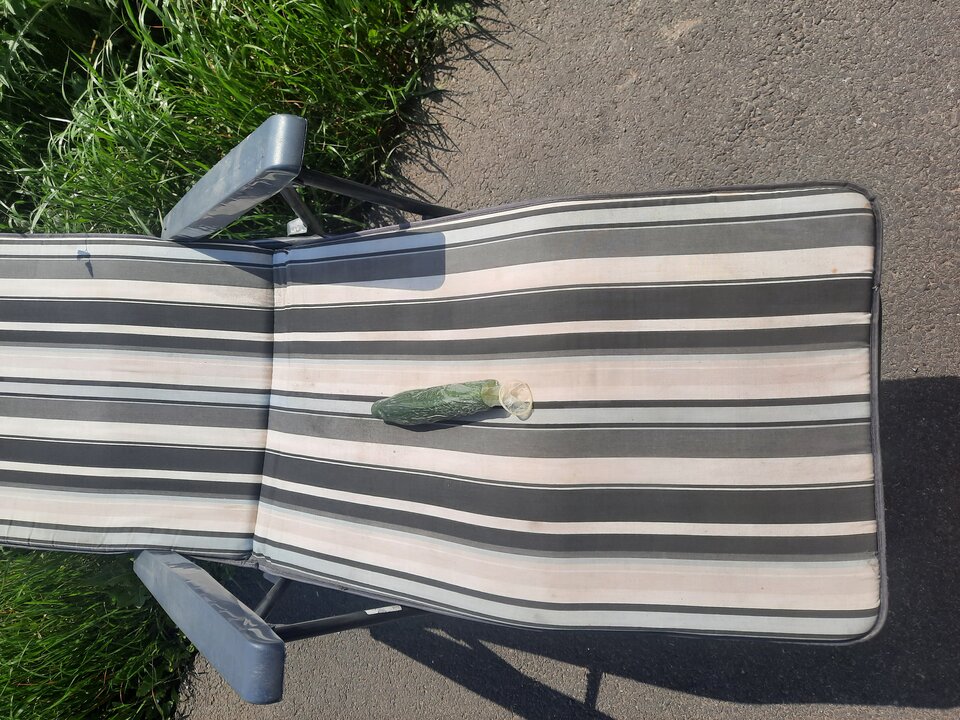 20230513_134313.jpg - Transpola