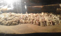 Ciasto z rabarbarem 20230513_161509.jpg