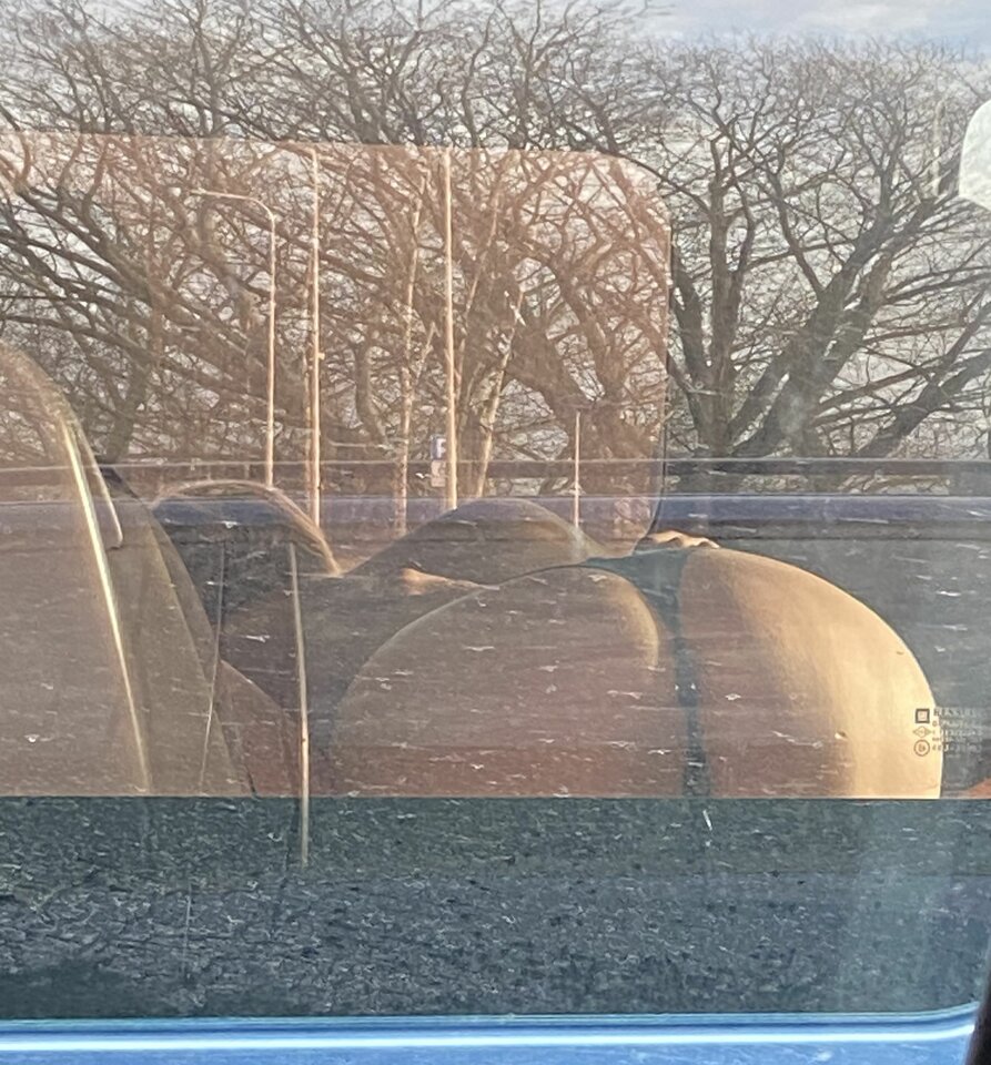 IMG_2134.JPG - Ana2020