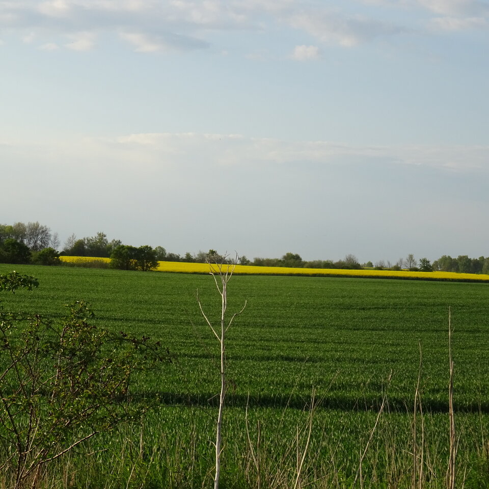 DSC01266.JPG - bojman8