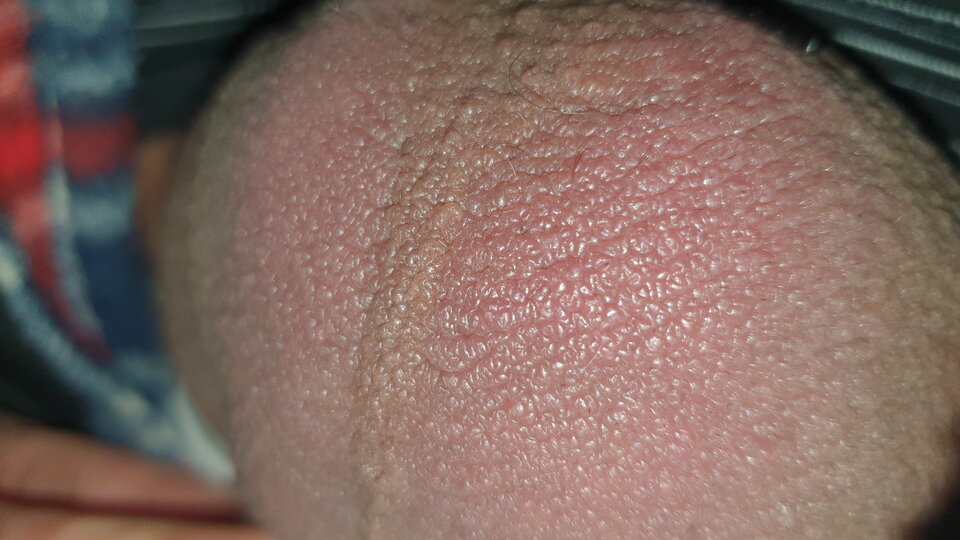 20230514_005410.jpg - grzegomil