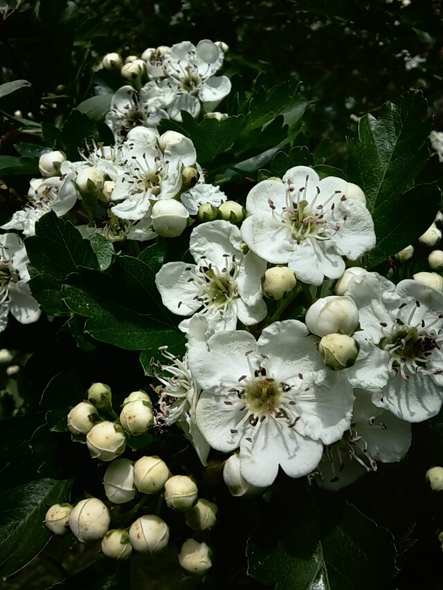 Spragnionyciebie1986