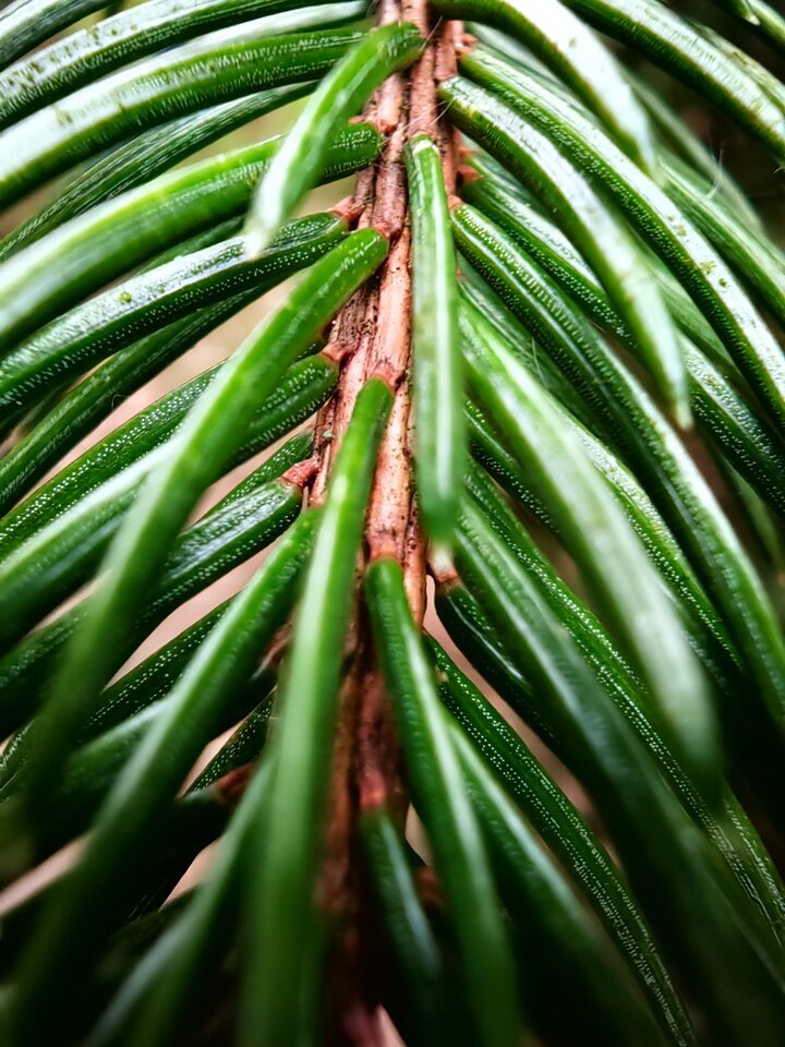 IMG_20230513_155133.jpg - Spragnionyciebie1986