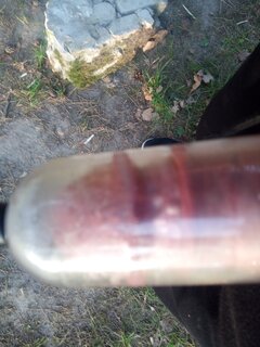 IMG_20230514_060059_857.jpg