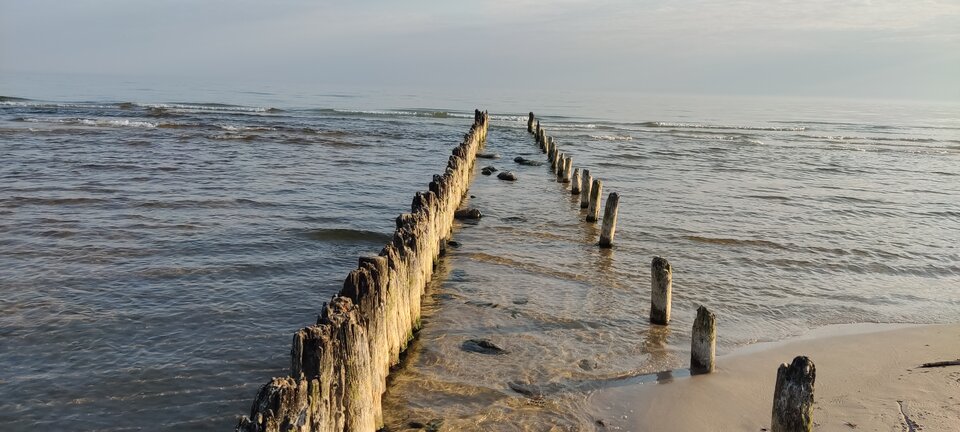 IMG_20230514_062932.jpg - edytkaandrzej