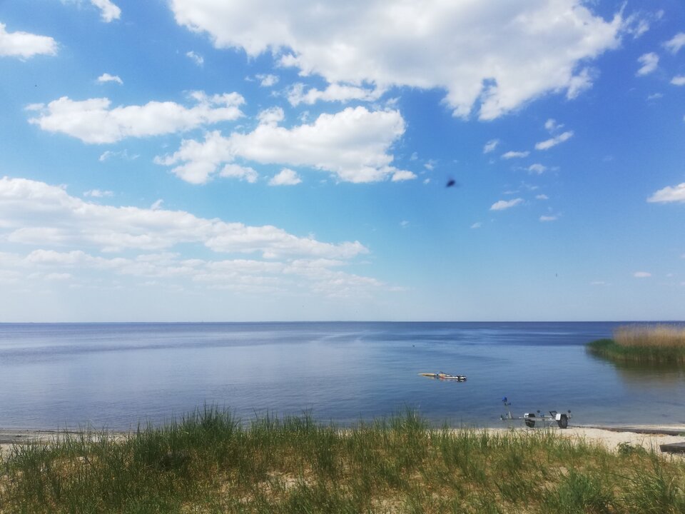 IMG_20230513_123959.jpg - torii99