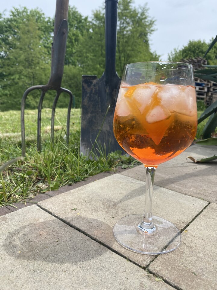 IMG_0766.jpeg - serialowapara19782