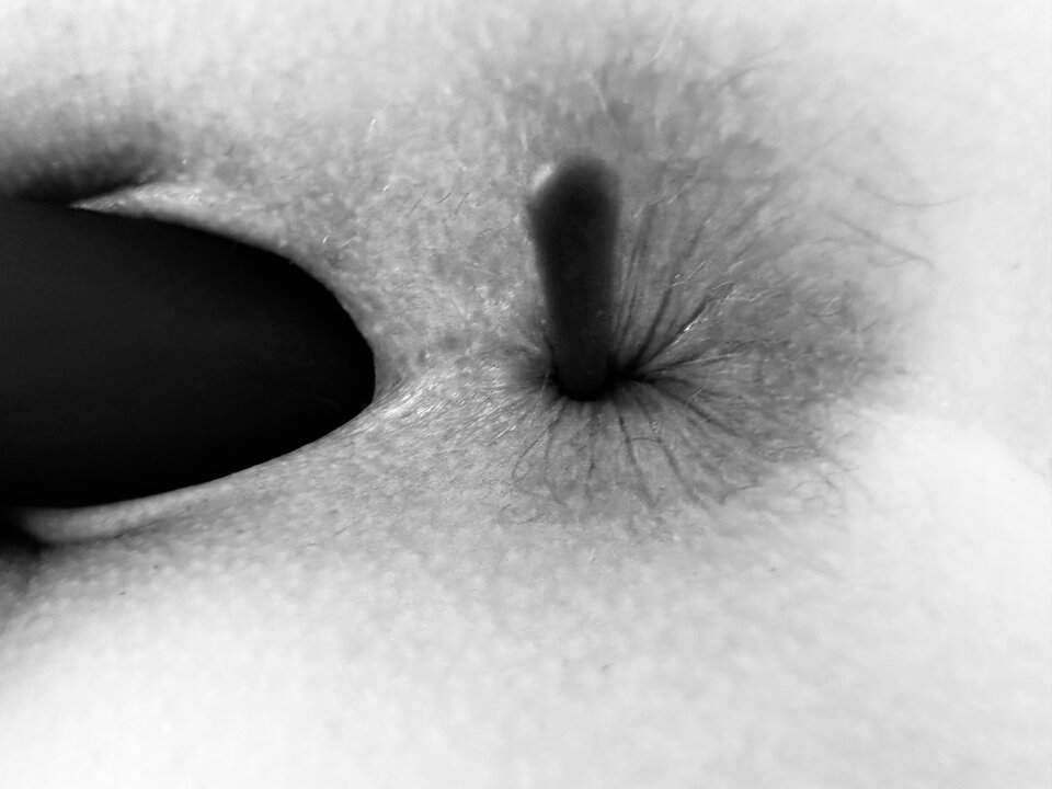 9C0A59A7-3F1F-4085-809A-460D46FD0FF0.jpeg - SauvignionBlanc