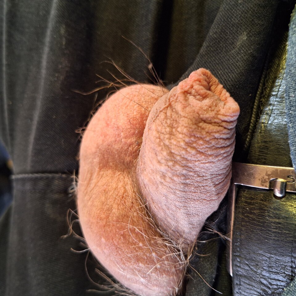 16840747474776515912983759454736.jpg - miro1011