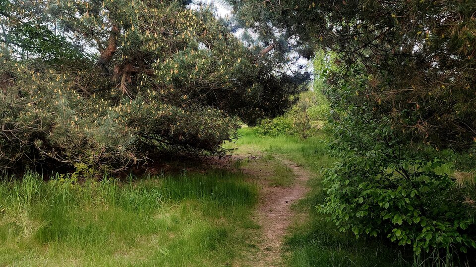 Taki plener - J_Sully