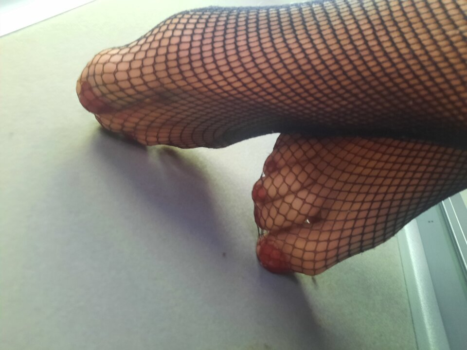 20230514_170439.jpg - Transpola