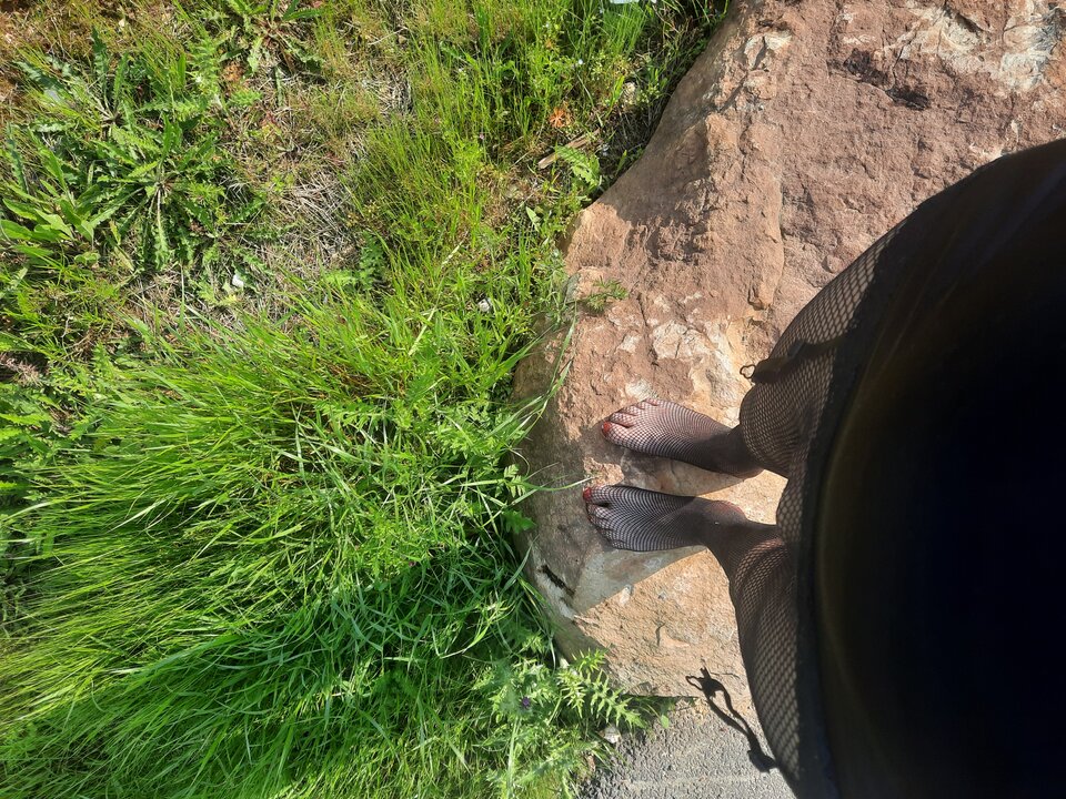 20230514_171821.jpg - Transpola