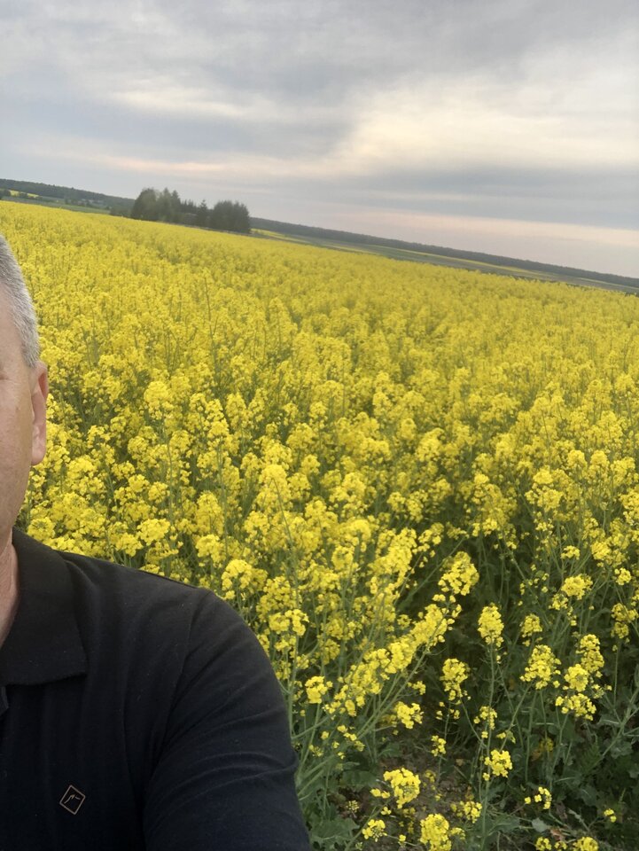 Bezniku w rzepaku - Bezniku12