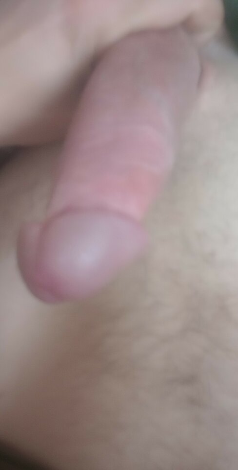 IMG_20230515_074644340.jpg - Dawca96