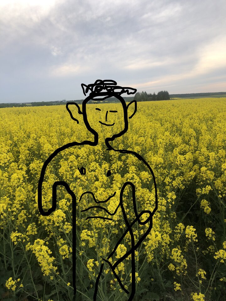 Chyba pszczoła mnie ugryzła w …. No właśnie, gdzie? - Bezniku12