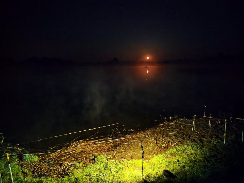 IMG_20230509_002905.jpg - Lubie_ostro_On