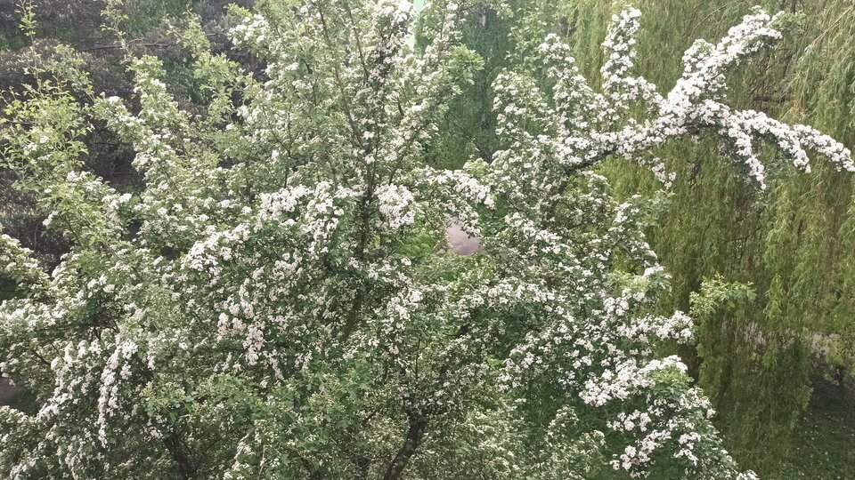 20230516_161502.jpg - Voyager07