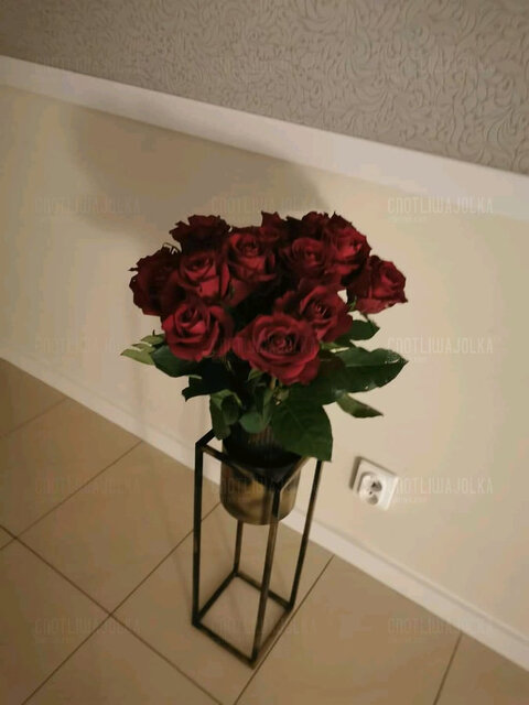 received_1070669633788867.jpeg - cnotliwaJolka