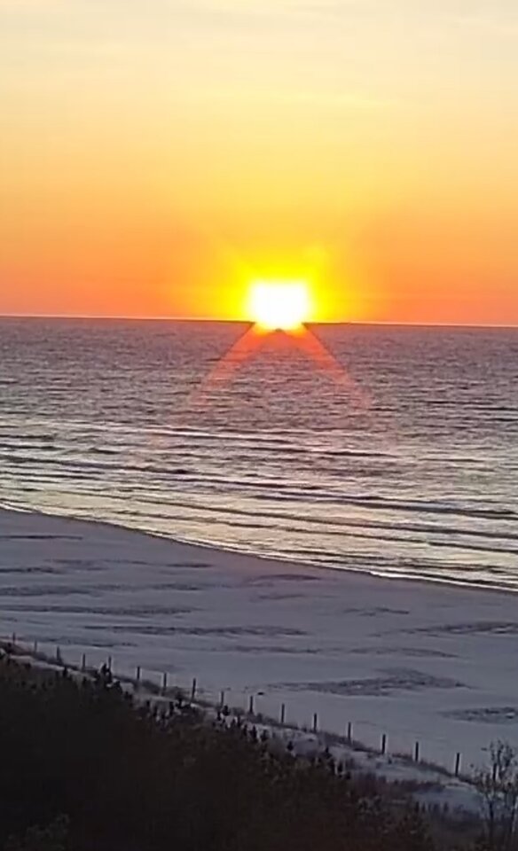 Screenshot_20230517-204935_Chrome.jpg - Fan_c