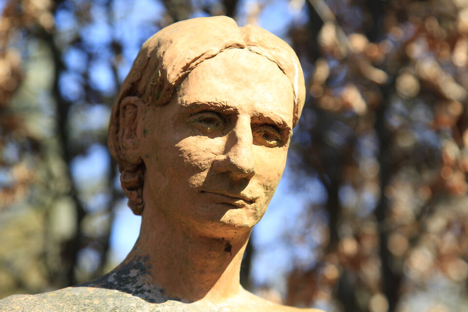 IMG_8560.JPG - Petko224