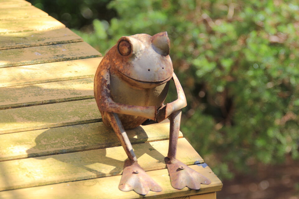 IMG_8607.JPG - Petko224