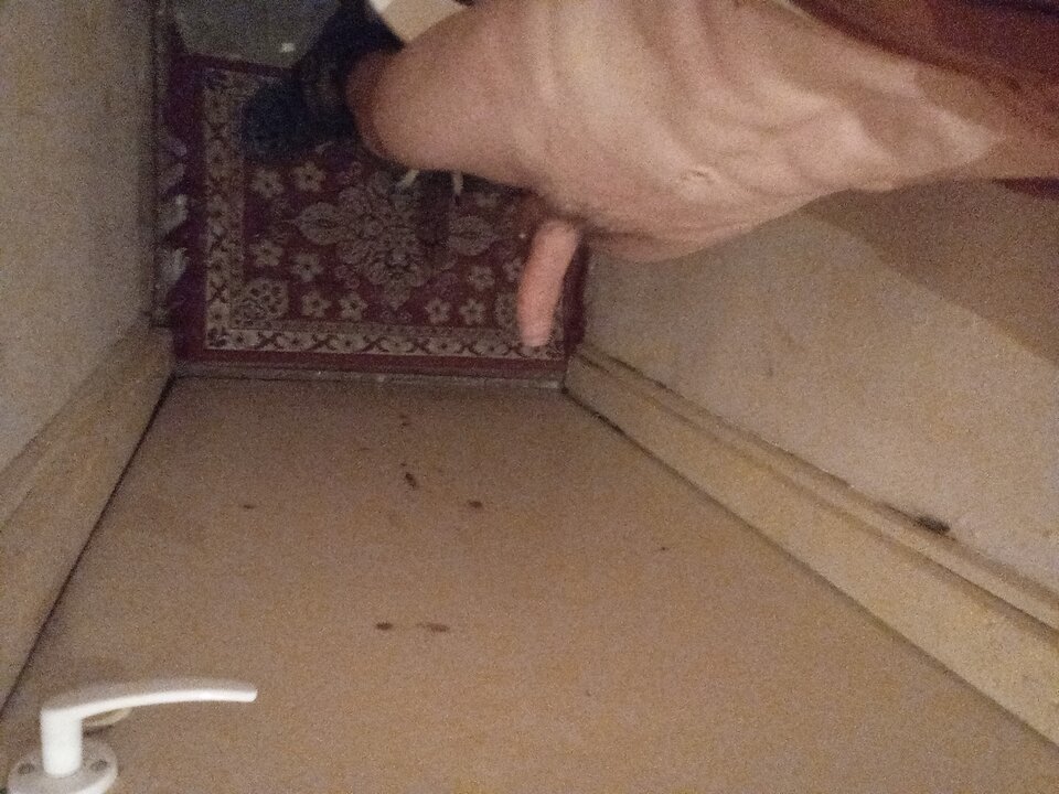 16843610872906496554455392737204.jpg - Mlodzik17cm