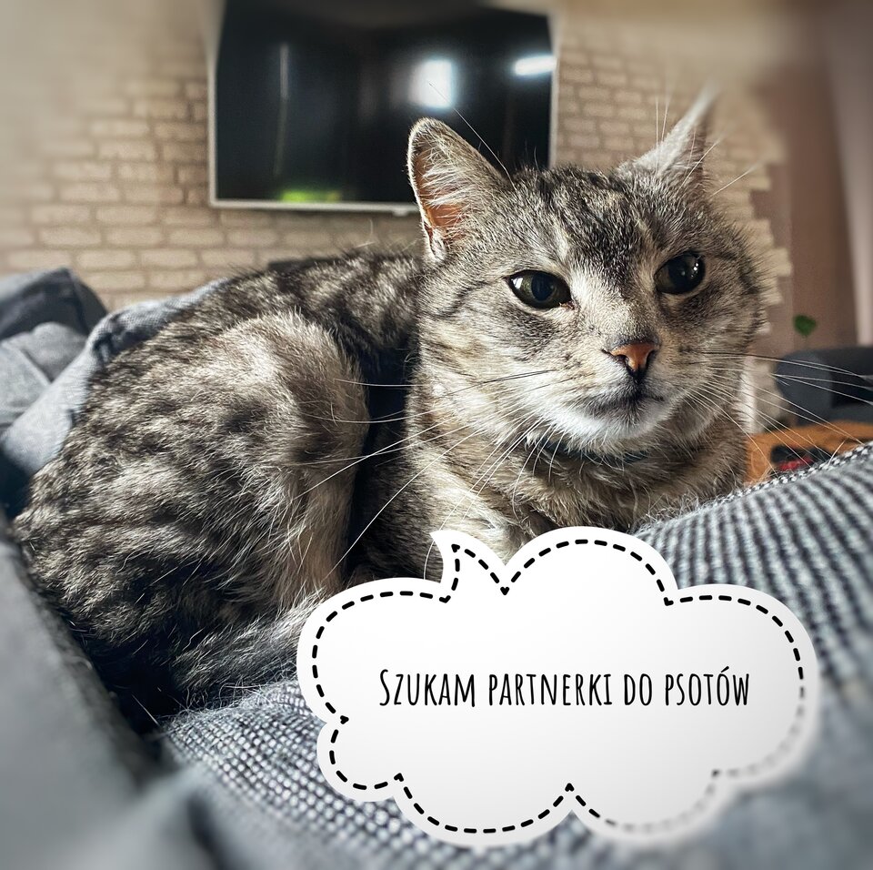 IMG_0824.jpeg - serialowapara19782