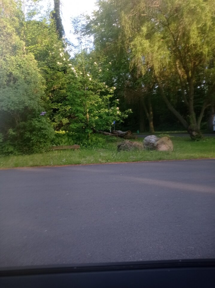 IMG_20230518_190554.jpg - Helobi