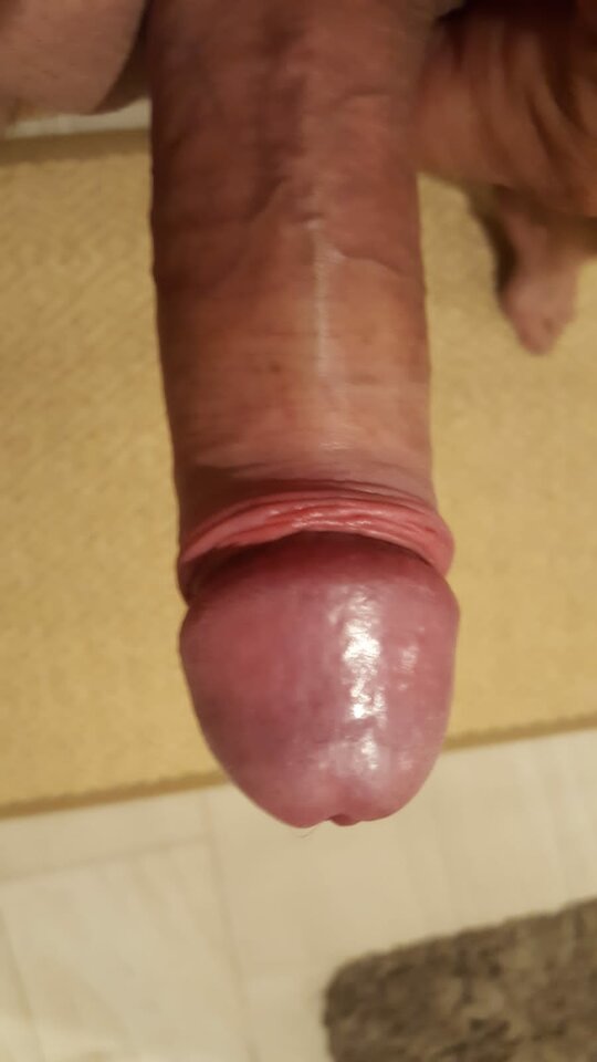 IMG-20220707-WA0011.jpg - Drag_cats